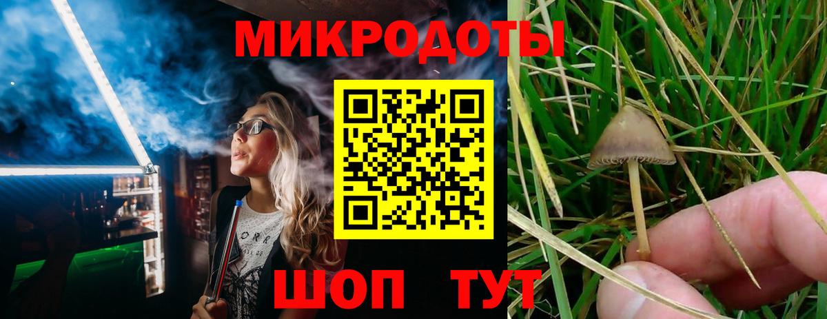 Протвино  Галлюциногенные грибы GOLDEN TEACHER  закладка  Псилоцибиновые грибы мицелий  Вход с VPN 